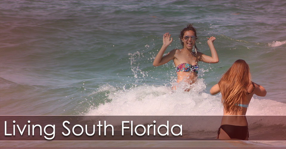 Fun in the sun.