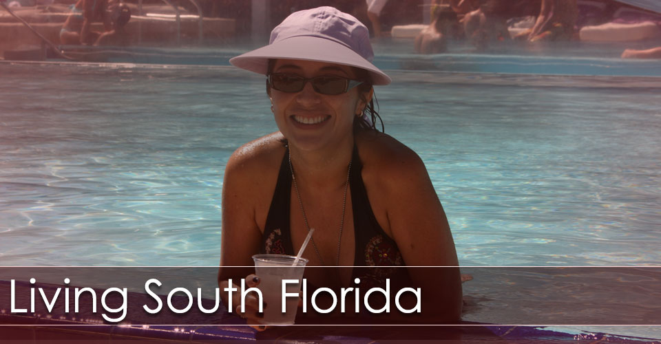 Rooftop Pools, Bars and Restaurants
